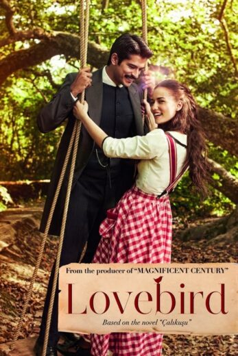 مسلسل طائر النمنمة مترجم الموسم 1 الحلقة 12